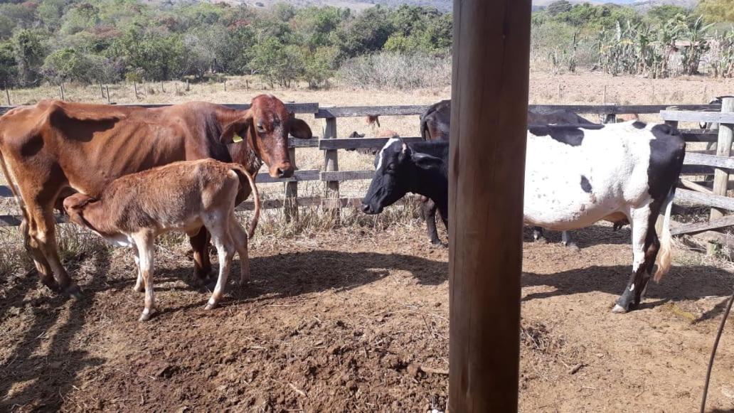 Pousada Estancia Macaubas - São Roque de Minas Екстериор снимка